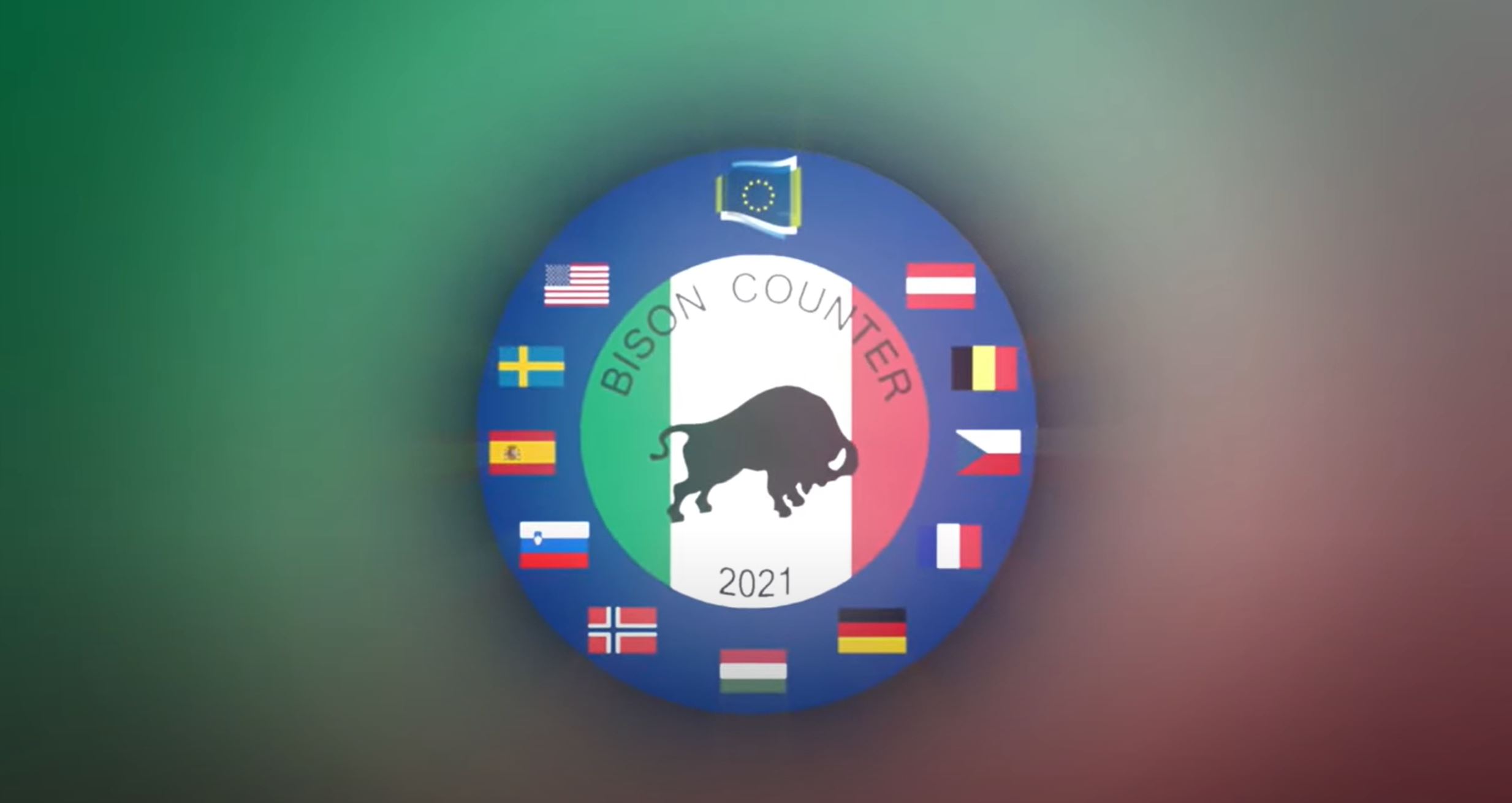 bison